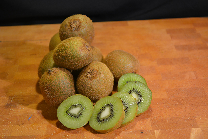 Kiwifruit (Actinidia deliciosa) at Plants Unlimited